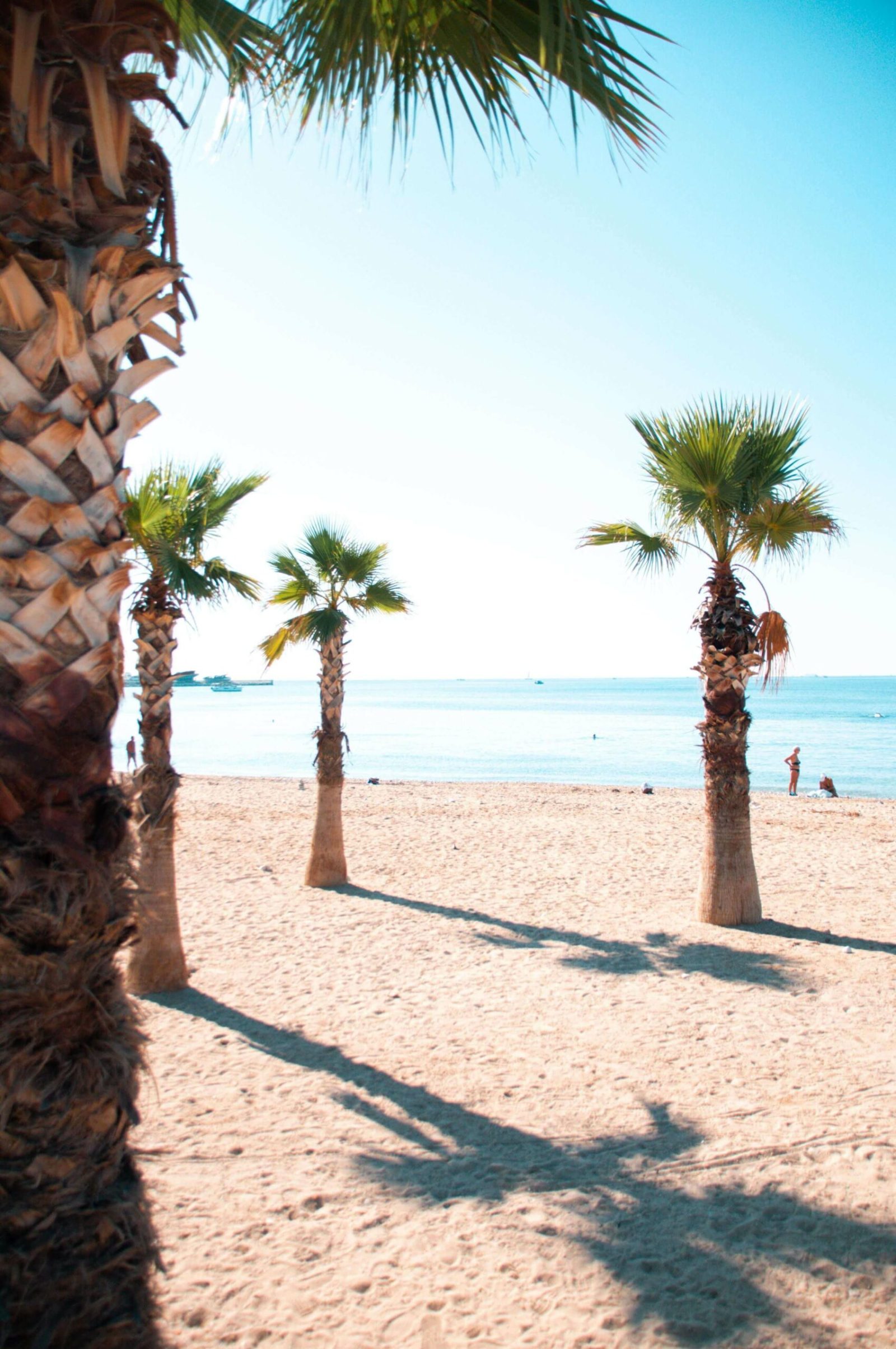 Destination Athens-Vivestia | Risk-Free Villas, Hotels and Cruises in VR Destination Athens-Vivestia | Risk-Free Villas, Hotels and Cruises in VR